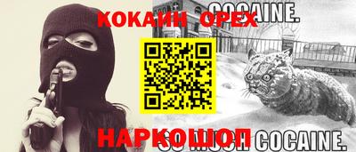 хмурый Кингисепп