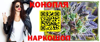 хмурый Кингисепп