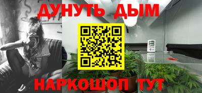 хмурый Кингисепп