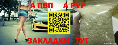 хмурый Кингисепп