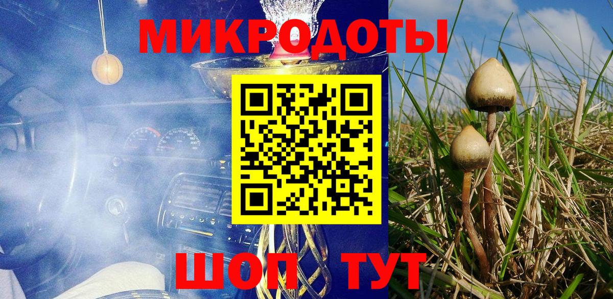 Галлюциногенные грибы Psilocybe Кропоткин