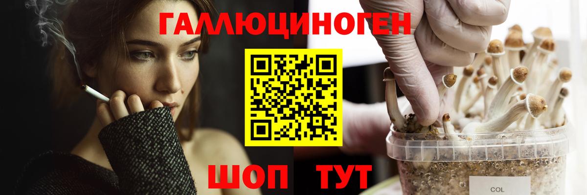 Кропоткин  Псилоцибиновые грибы мицелий  Вход с VPN 